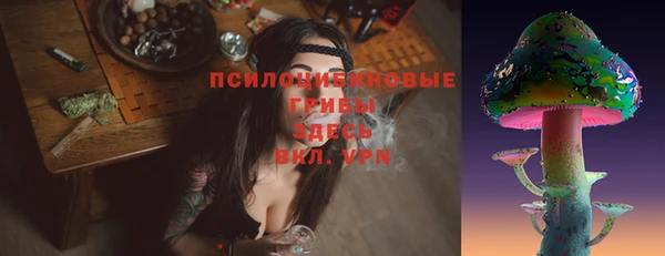 бутират Белокуриха