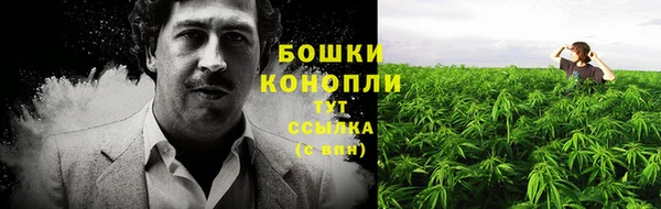 прущий лед Белоозёрский